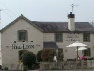 The Red Lion The Red Lion