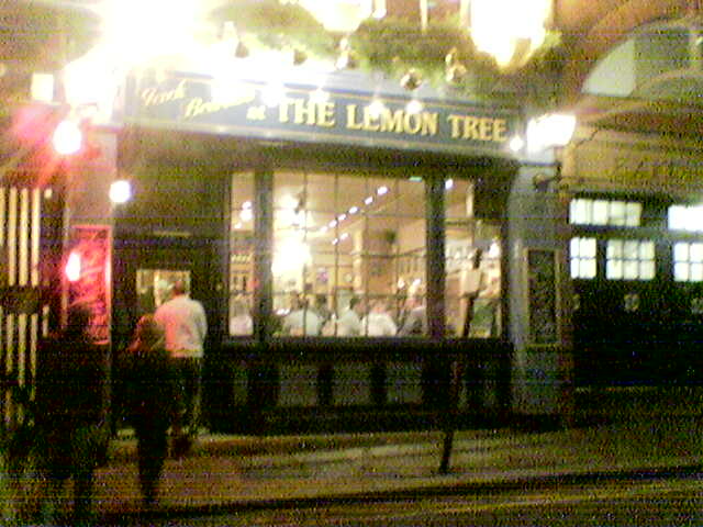 Lemon Tree Lemon Tree