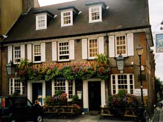 The Old White Bear The Old White Bear