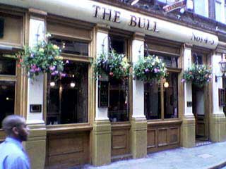 The Bull The Bull